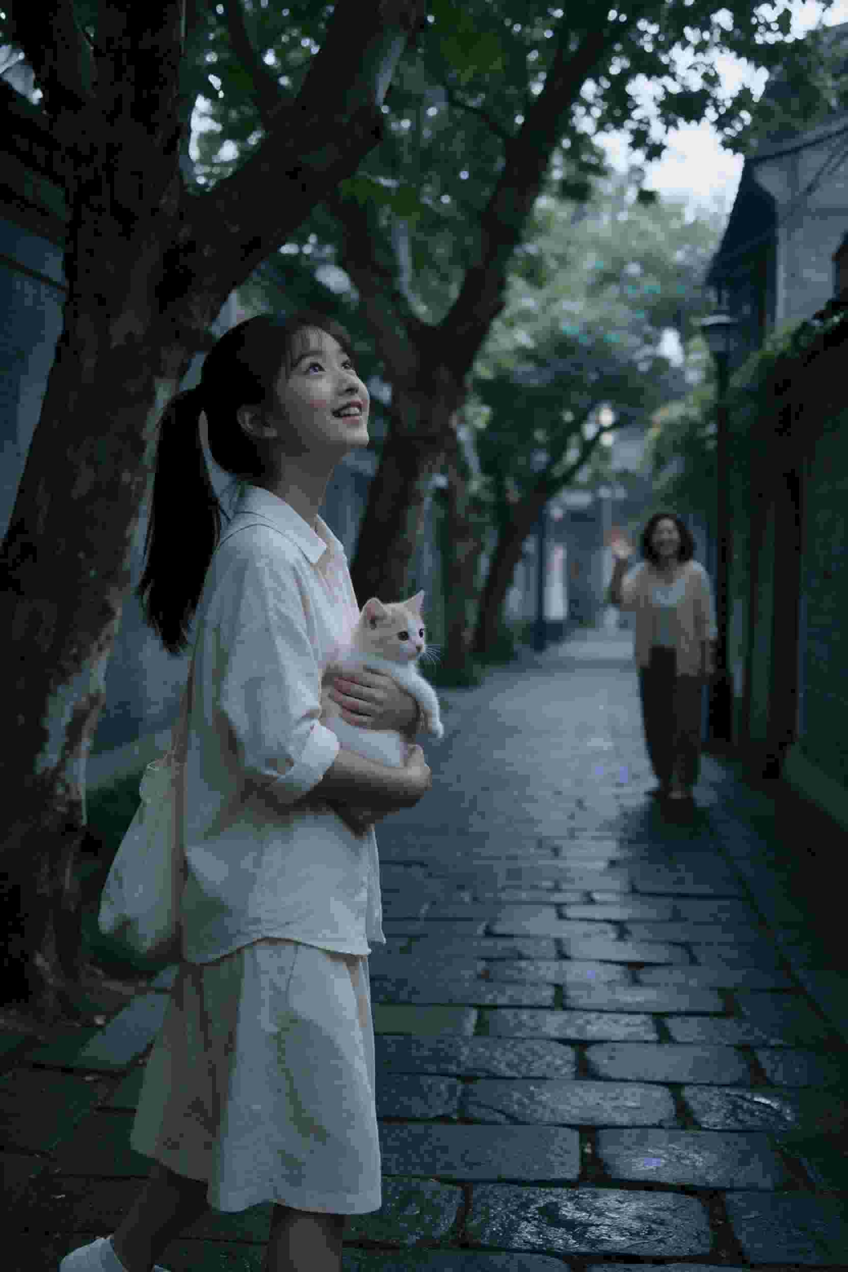 绝对防线